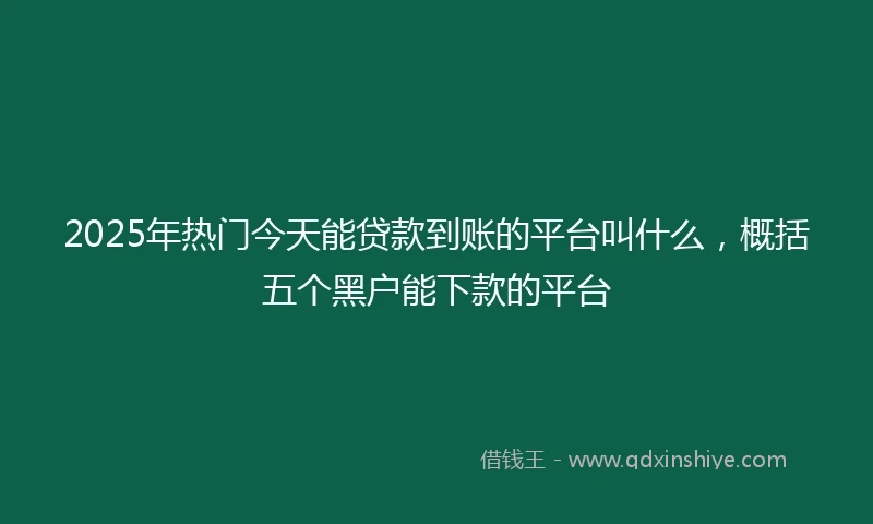 2025年热门今天能贷款到账的平台叫什么，概括五个黑户能下款的平台