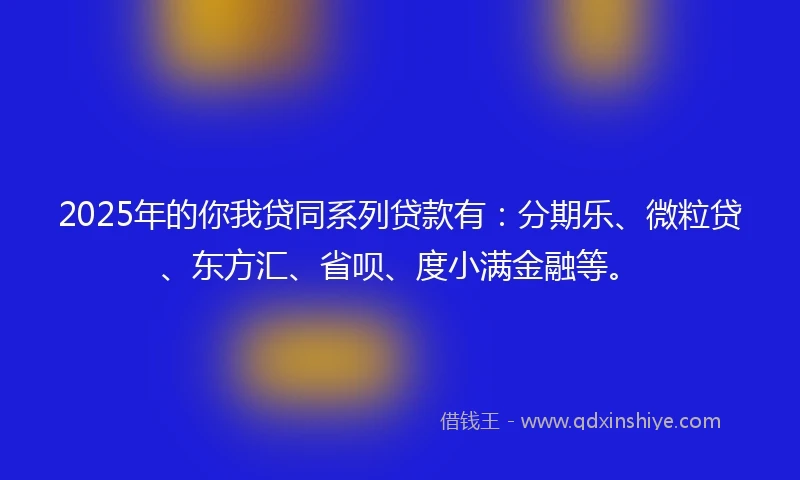 2025年的你我贷同系列贷款有：分期乐、微粒贷、东方汇、省呗、度小满金融等。