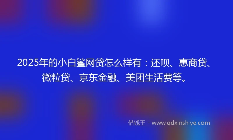 2025年的小白鲨网贷怎么样有：还呗、惠商贷、微粒贷、京东金融、美团生活费等。