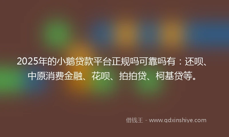 2025年的小鹅贷款平台正规吗可靠吗有：还呗、中原消费金融、花呗、拍拍贷、柯基贷等。