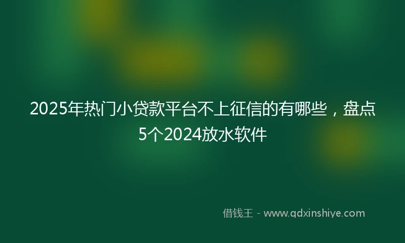 2025年热门小贷款平台不上征信的有哪些，盘点5个2024放水软件