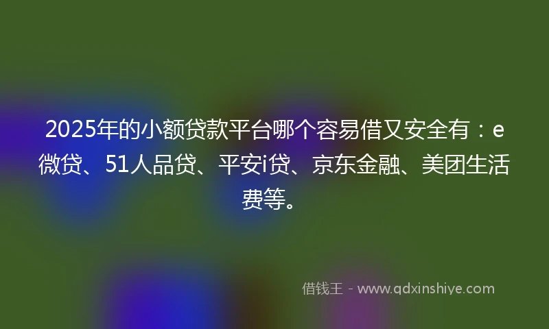 2025年的小额贷款平台哪个容易借又安全有：e微贷、51人品贷、平安i贷、京东金融、美团生活费等。