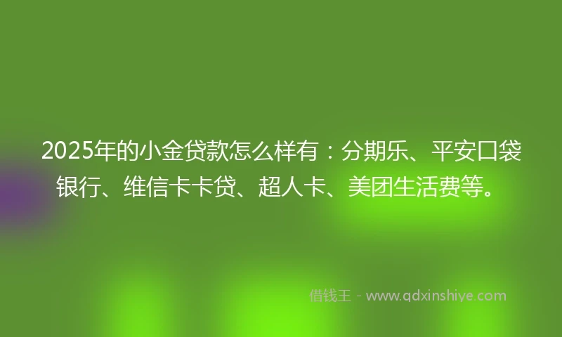 2025年的小金贷款怎么样有：分期乐、平安口袋银行、维信卡卡贷、超人卡、美团生活费等。
