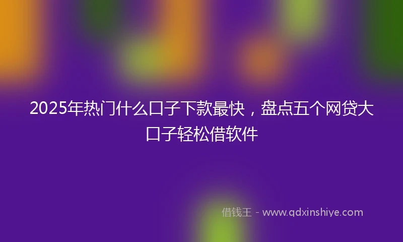 2025年热门什么口子下款最快，盘点五个网贷大口子轻松借软件