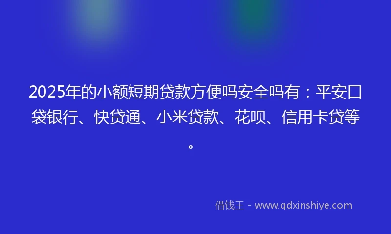 2025年的小额短期贷款方便吗安全吗有：平安口袋银行、快贷通、小米贷款、花呗、信用卡贷等。