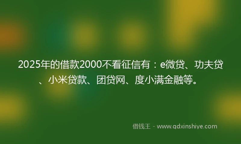 2025年的借款2000不看征信有：e微贷、功夫贷、小米贷款、团贷网、度小满金融等。
