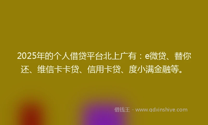 2025年的个人借贷平台北上广有：e微贷、替你还、维信卡卡贷、信用卡贷、度小满金融等。