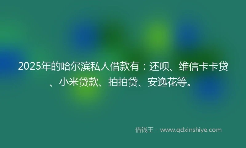 2025年的哈尔滨私人借款有：还呗、维信卡卡贷、小米贷款、拍拍贷、安逸花等。