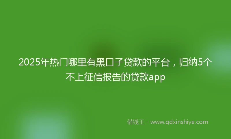 2025年热门哪里有黑口子贷款的平台，归纳5个不上征信报告的贷款app