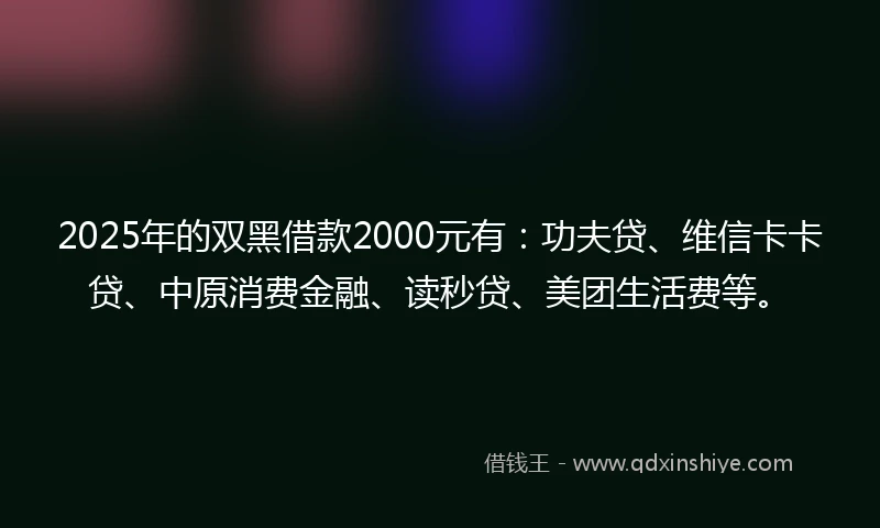2025年的双黑借款2000元有：功夫贷、维信卡卡贷、中原消费金融、读秒贷、美团生活费等。