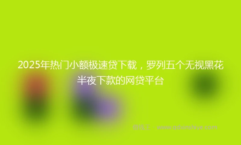 2025年热门小额极速贷下载，罗列五个无视黑花半夜下款的网贷平台