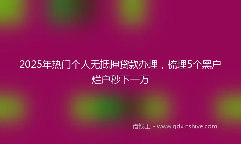2025年热门个人无抵押贷款办理，梳理5个黑户烂户秒下一万