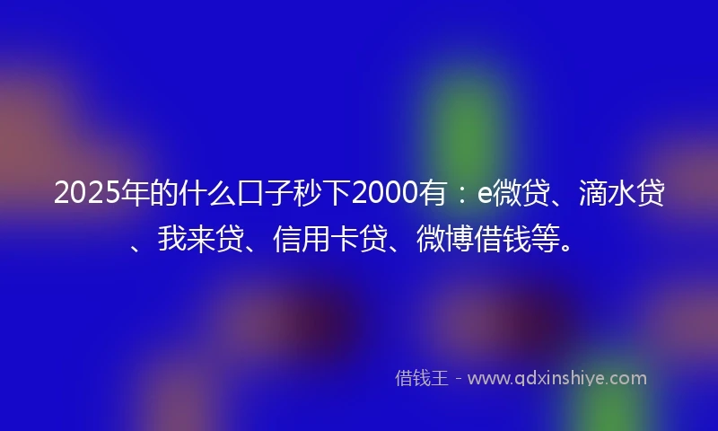 2025年的什么口子秒下2000有：e微贷、滴水贷、我来贷、信用卡贷、微博借钱等。