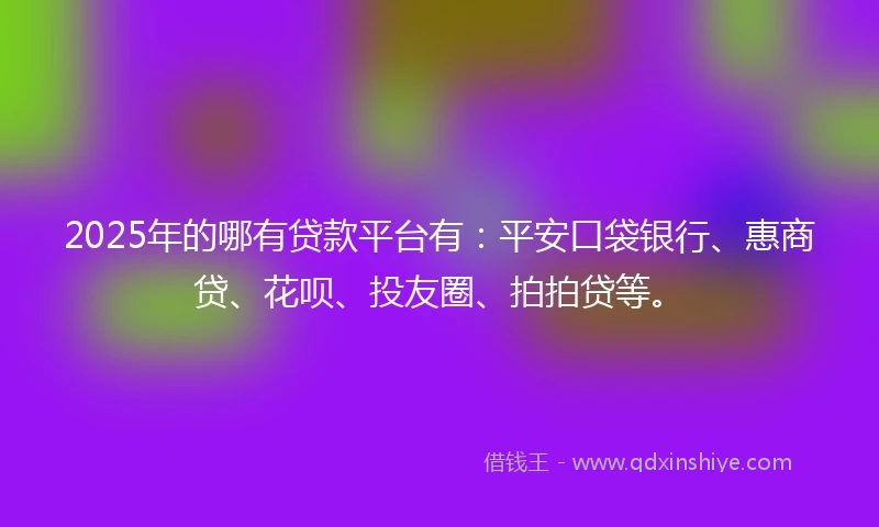 2025年的哪有贷款平台有：平安口袋银行、惠商贷、花呗、投友圈、拍拍贷等。