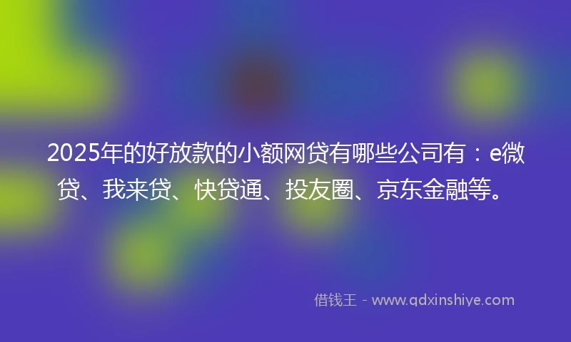 2025年的好放款的小额网贷有哪些公司有：e微贷、我来贷、快贷通、投友圈、京东金融等。