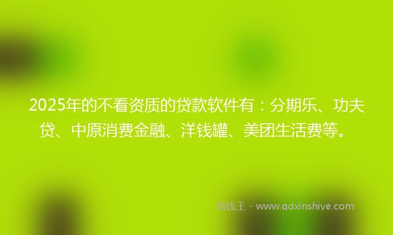 2025年的不看资质的贷款软件有：分期乐、功夫贷、中原消费金融、洋钱罐、美团生活费等。