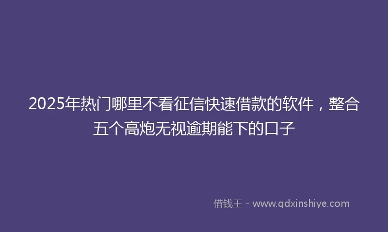 2025年热门哪里不看征信快速借款的软件，整合五个高炮无视逾期能下的口子