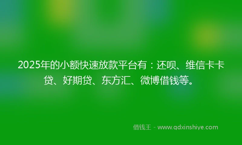 2025年的小额快速放款平台有：还呗、维信卡卡贷、好期贷、东方汇、微博借钱等。