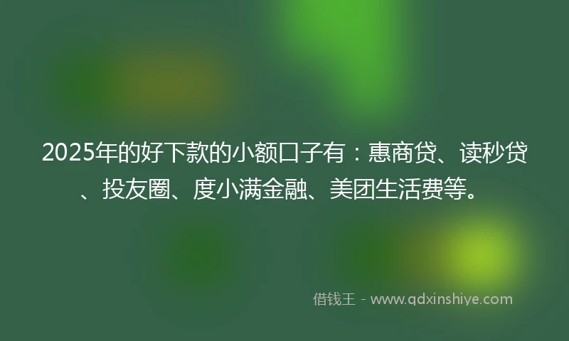 2025年的好下款的小额口子有：惠商贷、读秒贷、投友圈、度小满金融、美团生活费等。