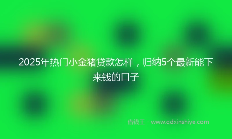 2025年热门小金猪贷款怎样，归纳5个最新能下来钱的口子