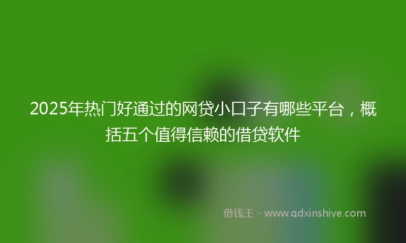 2025年热门好通过的网贷小口子有哪些平台，概括五个值得信赖的借贷软件
