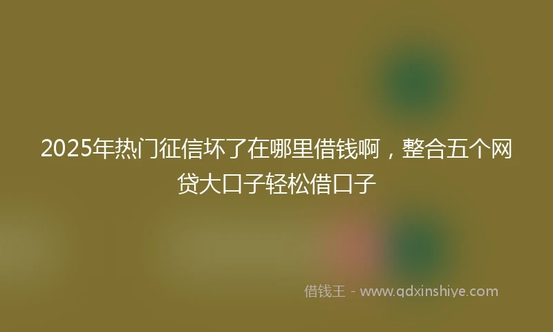 2025年热门征信坏了在哪里借钱啊，整合五个网贷大口子轻松借口子