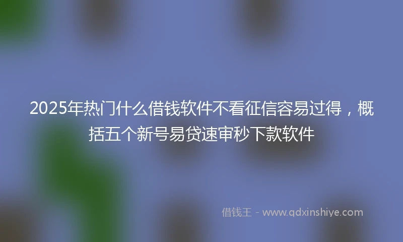 2025年热门什么借钱软件不看征信容易过得，概括五个新号易贷速审秒下款软件