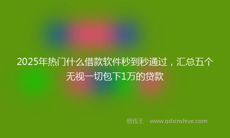 2025年热门什么借款软件秒到秒通过，汇总五个无视一切包下1万的贷款