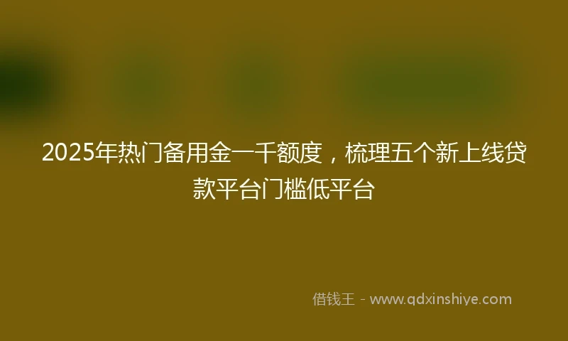 2025年热门备用金一千额度，梳理五个新上线贷款平台门槛低平台