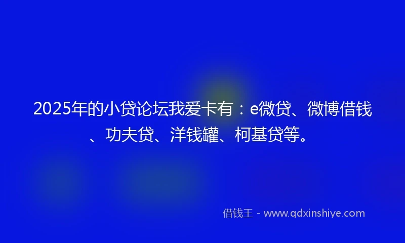 2025年的小贷论坛我爱卡有：e微贷、微博借钱、功夫贷、洋钱罐、柯基贷等。