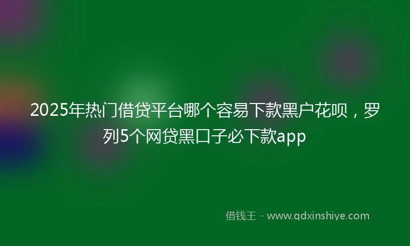 2025年热门借贷平台哪个容易下款黑户花呗，罗列5个网贷黑口子必下款app