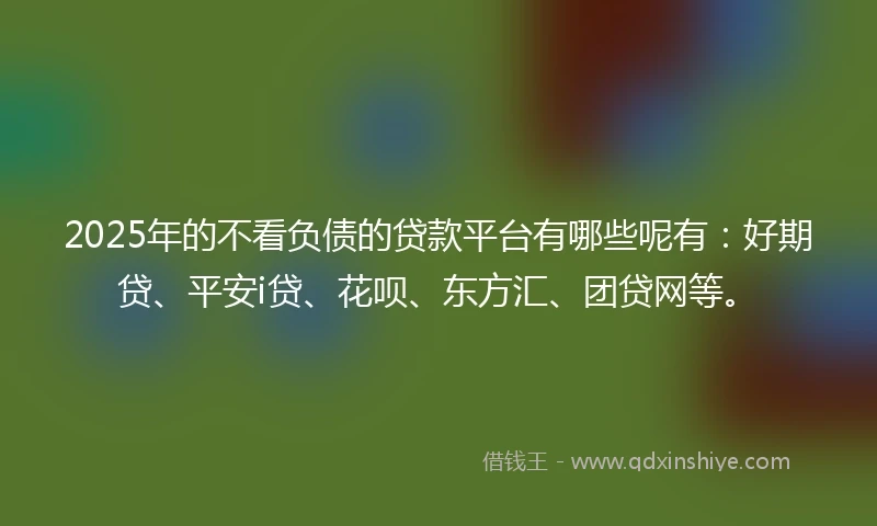 2025年的不看负债的贷款平台有哪些呢有：好期贷、平安i贷、花呗、东方汇、团贷网等。