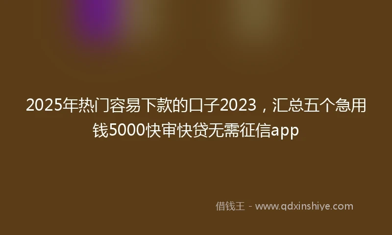 2025年热门容易下款的口子2023，汇总五个急用钱5000快审快贷无需征信app