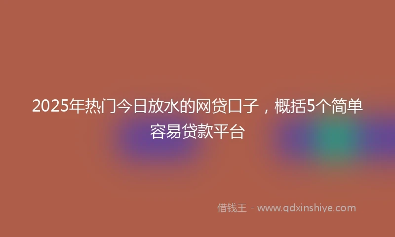 2025年热门今日放水的网贷口子，概括5个简单容易贷款平台