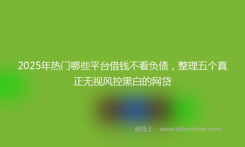 2025年热门哪些平台借钱不看负债，整理五个真正无视风控黑白的网贷