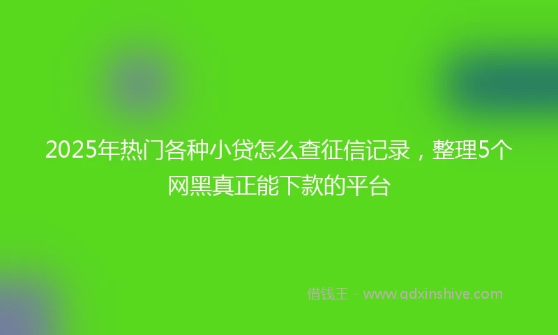 2025年热门各种小贷怎么查征信记录，整理5个网黑真正能下款的平台