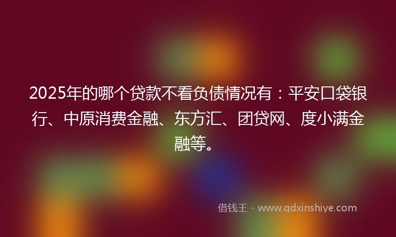 2025年的哪个贷款不看负债情况有：平安口袋银行、中原消费金融、东方汇、团贷网、度小满金融等。