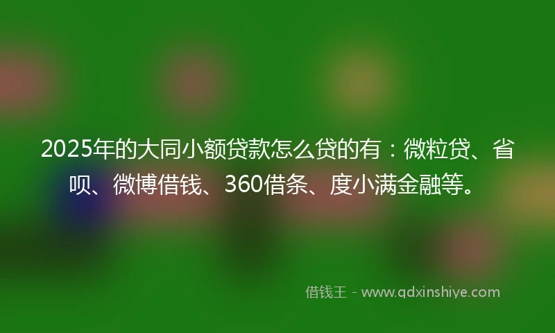 2025年的大同小额贷款怎么贷的有：微粒贷、省呗、微博借钱、360借条、度小满金融等。