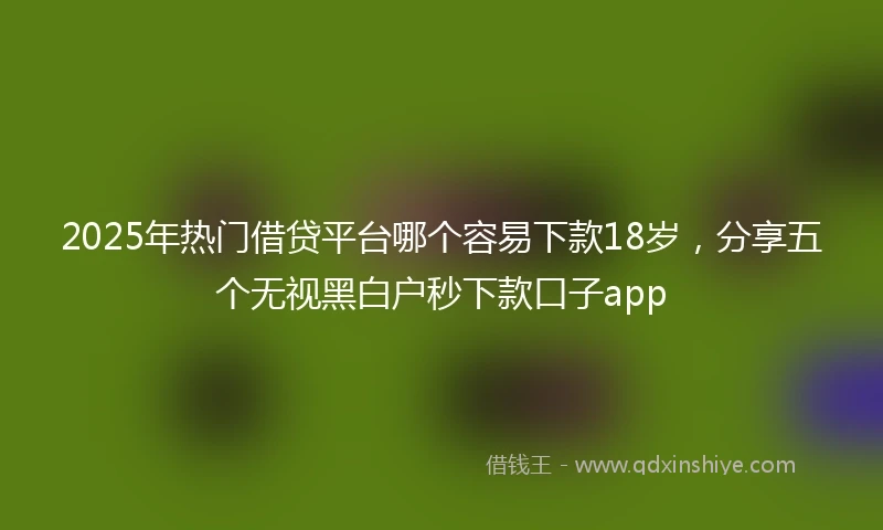 2025年热门借贷平台哪个容易下款18岁，分享五个无视黑白户秒下款口子app