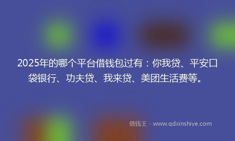 2025年的哪个平台借钱包过有：你我贷、平安口袋银行、功夫贷、我来贷、美团生活费等。