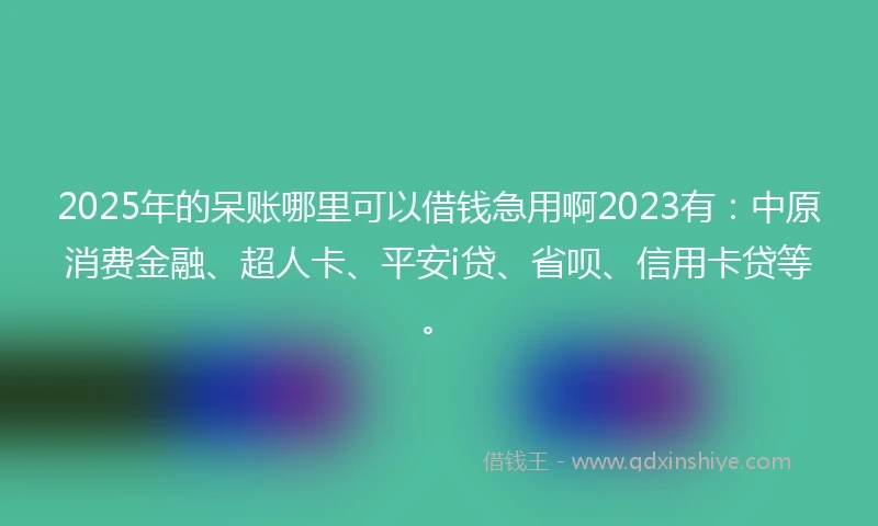 2025年的呆账哪里可以借钱急用啊2023有：中原消费金融、超人卡、平安i贷、省呗、信用卡贷等。