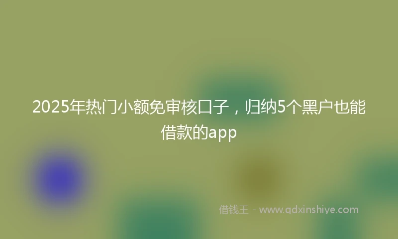 2025年热门小额免审核口子，归纳5个黑户也能借款的app