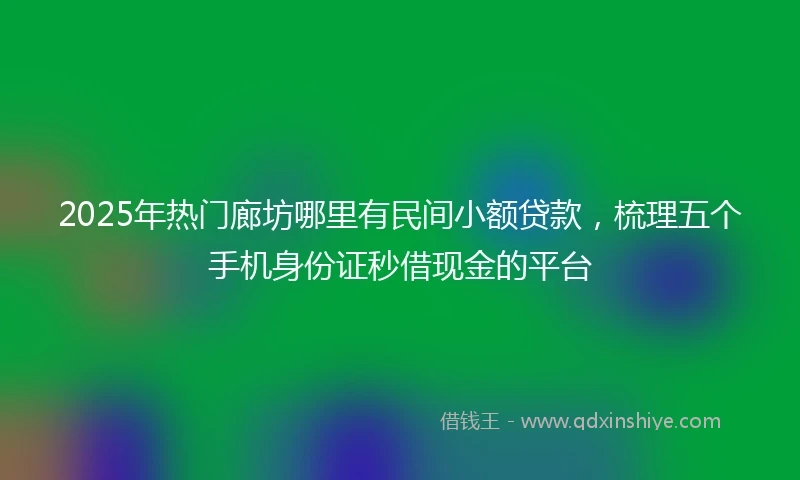 2025年热门廊坊哪里有民间小额贷款，梳理五个手机身份证秒借现金的平台