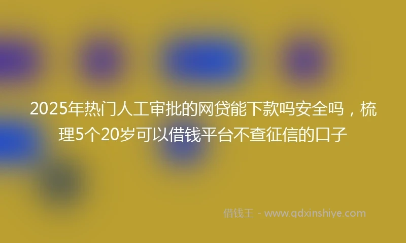 2025年热门人工审批的网贷能下款吗安全吗，梳理5个20岁可以借钱平台不查征信的口子