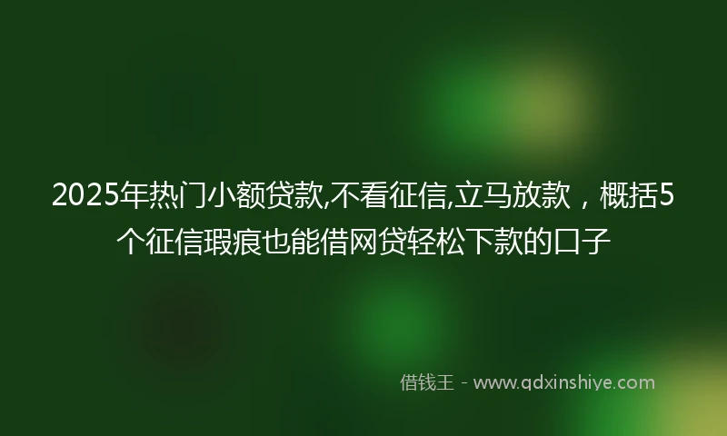 2025年热门小额贷款,不看征信,立马放款，概括5个征信瑕疵也能借网贷轻松下款的口子