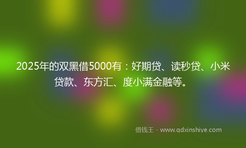 2025年的双黑借5000有：好期贷、读秒贷、小米贷款、东方汇、度小满金融等。