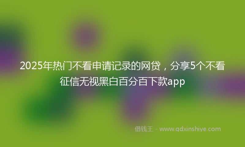2025年热门不看申请记录的网贷，分享5个不看征信无视黑白百分百下款app
