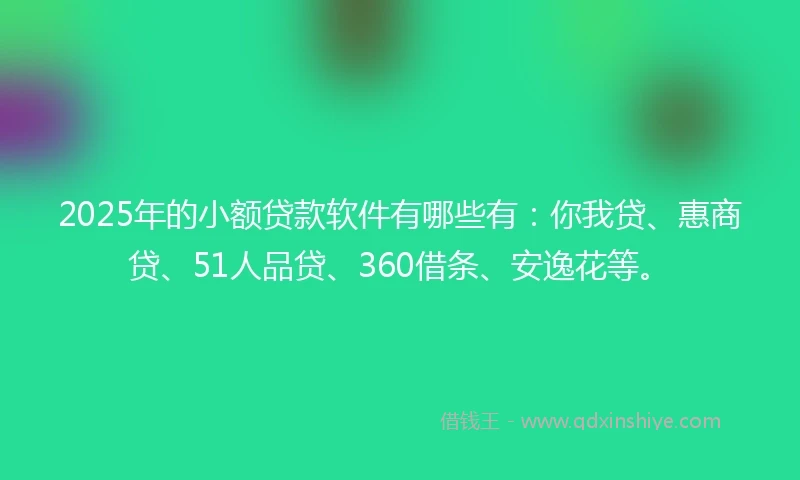 2025年的小额贷款软件有哪些有：你我贷、惠商贷、51人品贷、360借条、安逸花等。