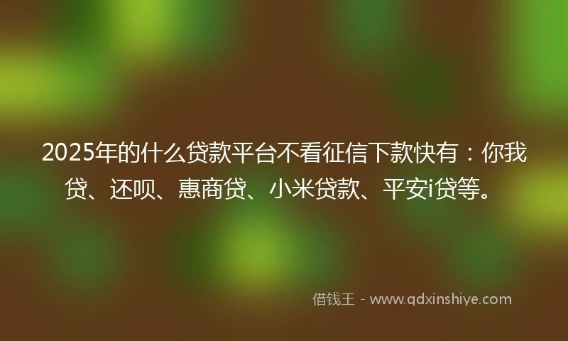 2025年的什么贷款平台不看征信下款快有：你我贷、还呗、惠商贷、小米贷款、平安i贷等。