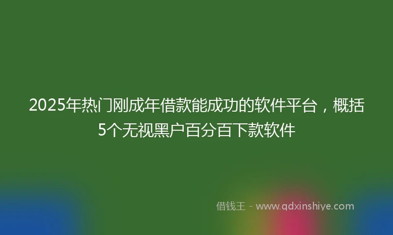 2025年热门刚成年借款能成功的软件平台,概括5个无视黑户百分百下款软件